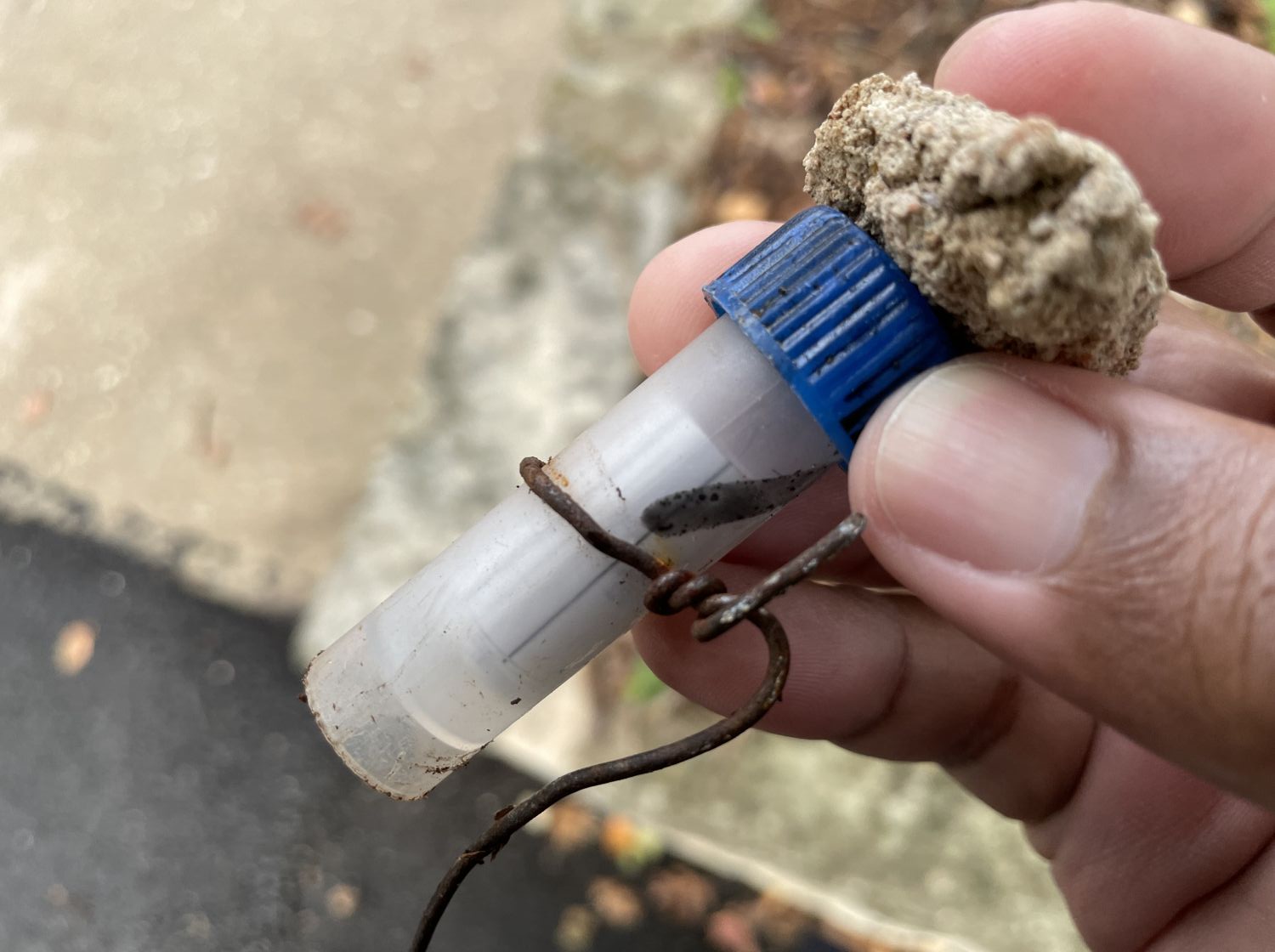 The In-Between – Geocaching While Black