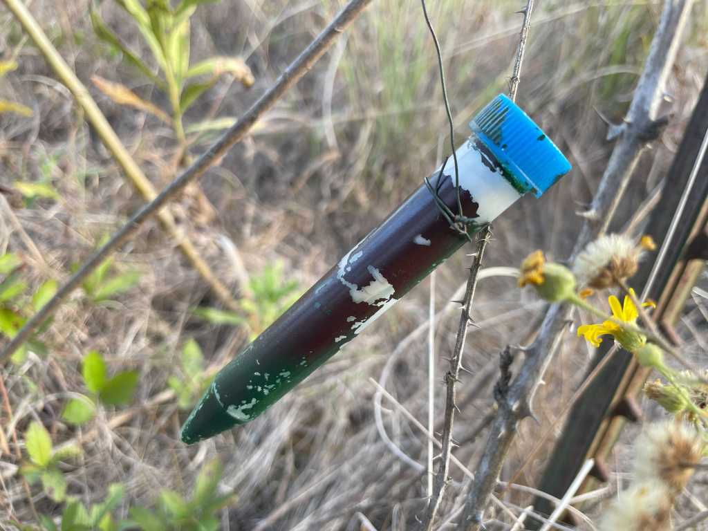 This image has an empty alt attribute; its file name is img_3136.jpg